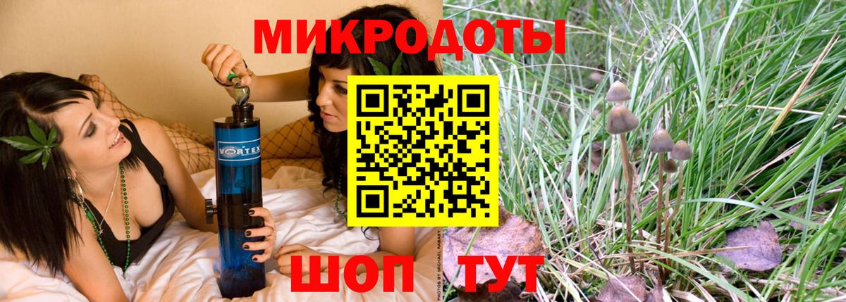 Галлюциногенные грибы Cubensis Томск