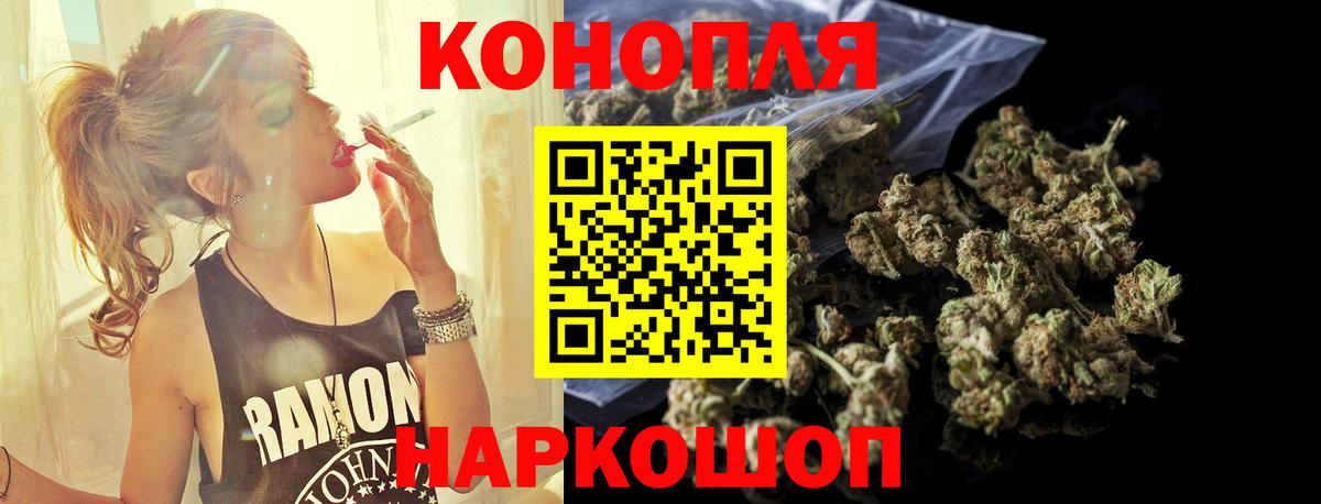 Бошки Шишки план Томск